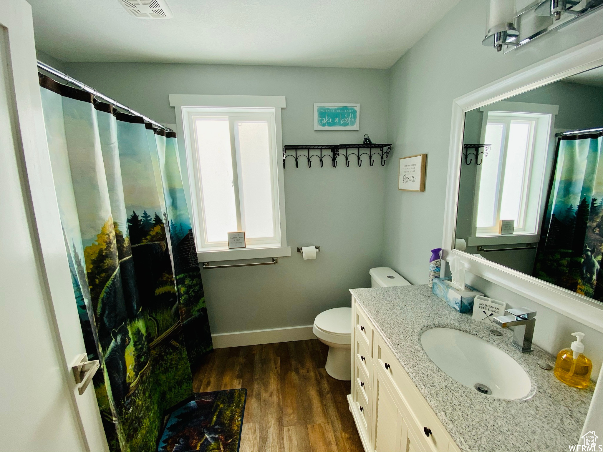 Bathroom featuring vanity, toilet, and wood-type flooring