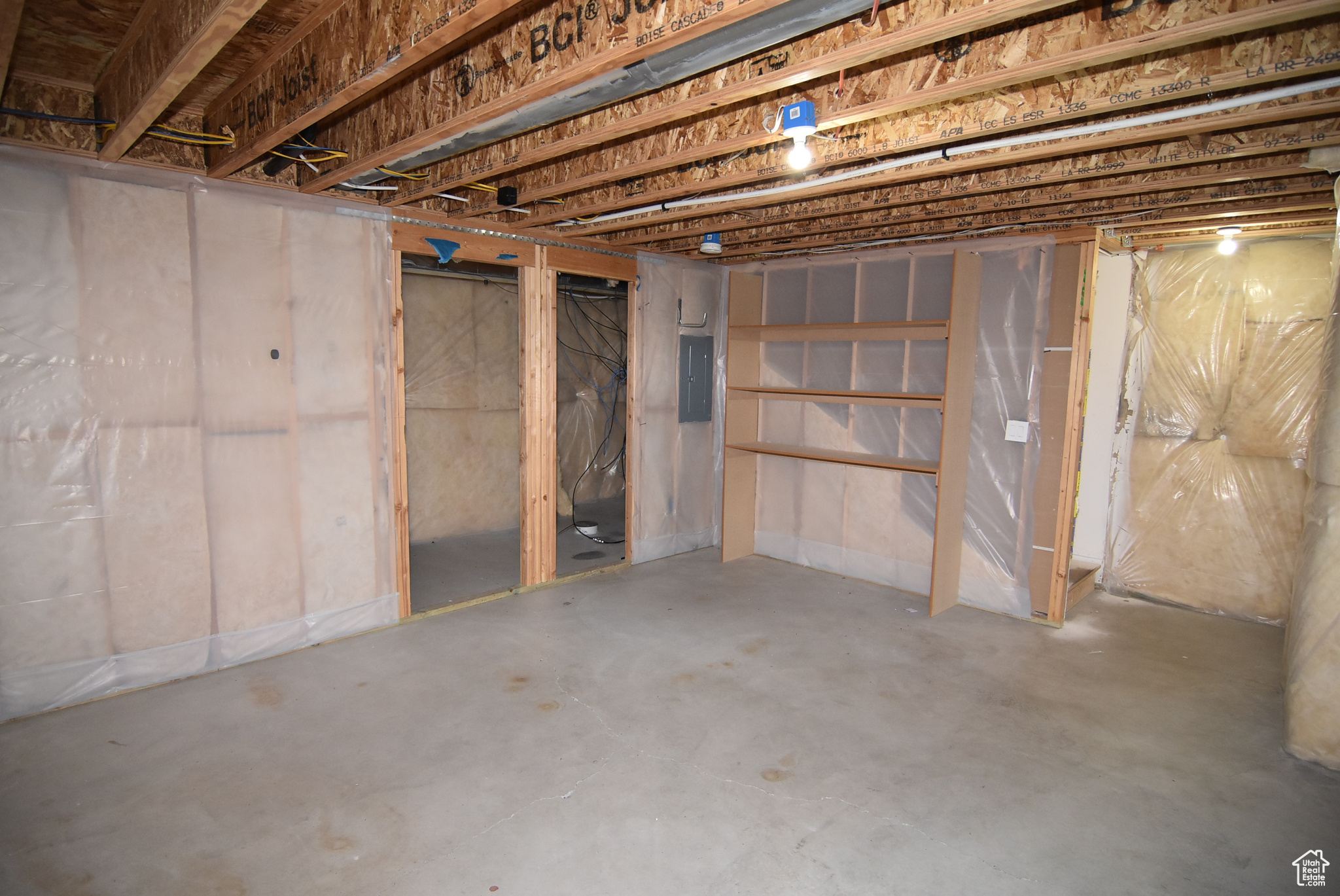 Unfinished Basement