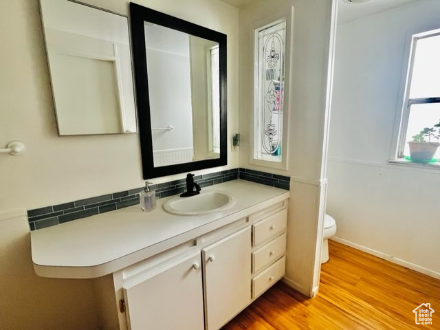 Bathroom featuring wood-type flooring, large vanity, and toilet