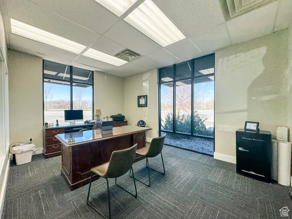 Carpeted home office featuring a paneled ceiling and a wall of windows