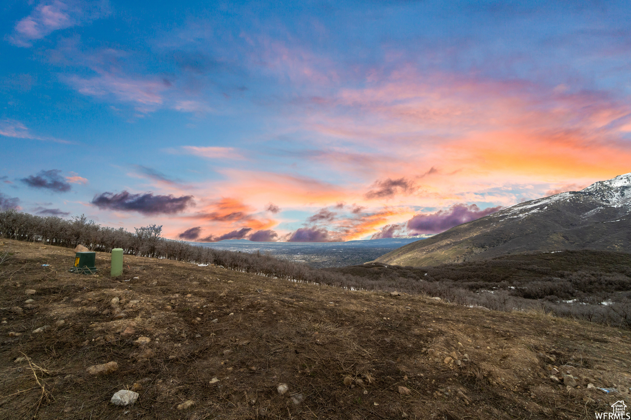 2187 E SILVER FLOWER, Draper, Utah 84020, ,Land,For sale,SILVER FLOWER,1987458