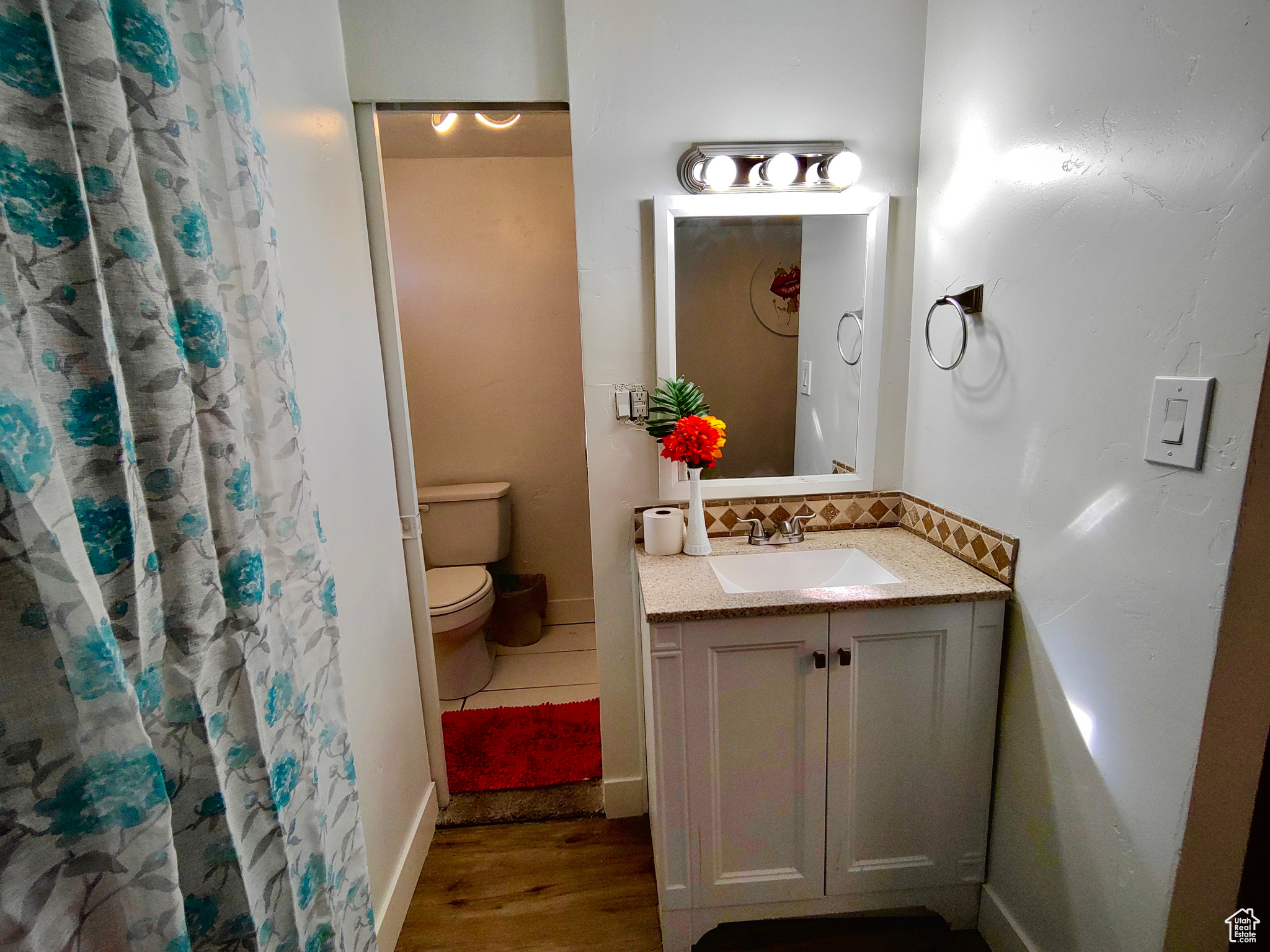 Bathroom with wood-type flooring, toilet, vanity with extensive cabinet space, and backsplash