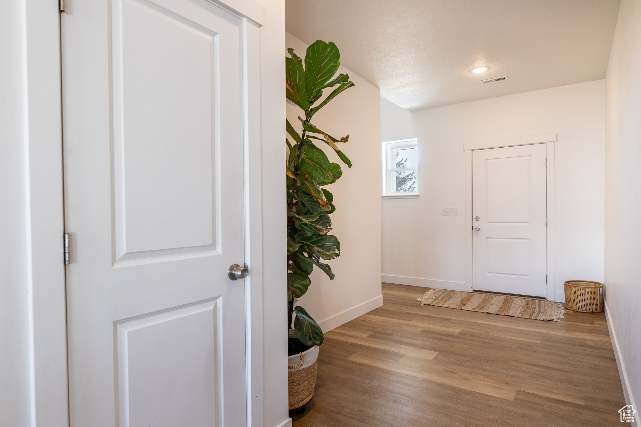 Foyer entrance with light hardwood / wood-style floors