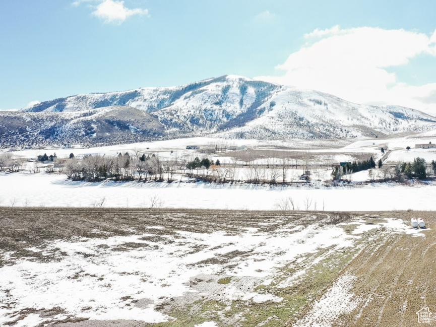 1926 N SHORE #8-10, Preston, Idaho 83263, ,Land,For sale,SHORE,1988084