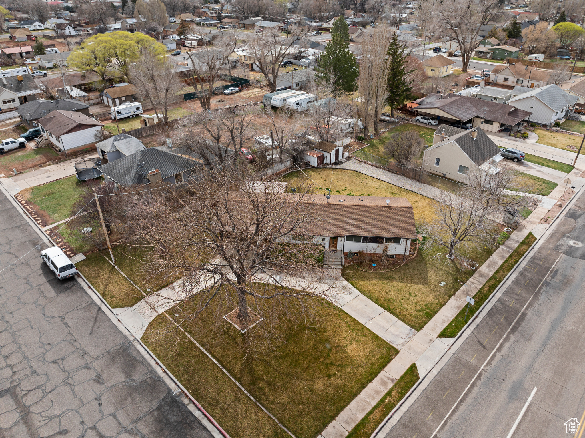 View of bird's eye view