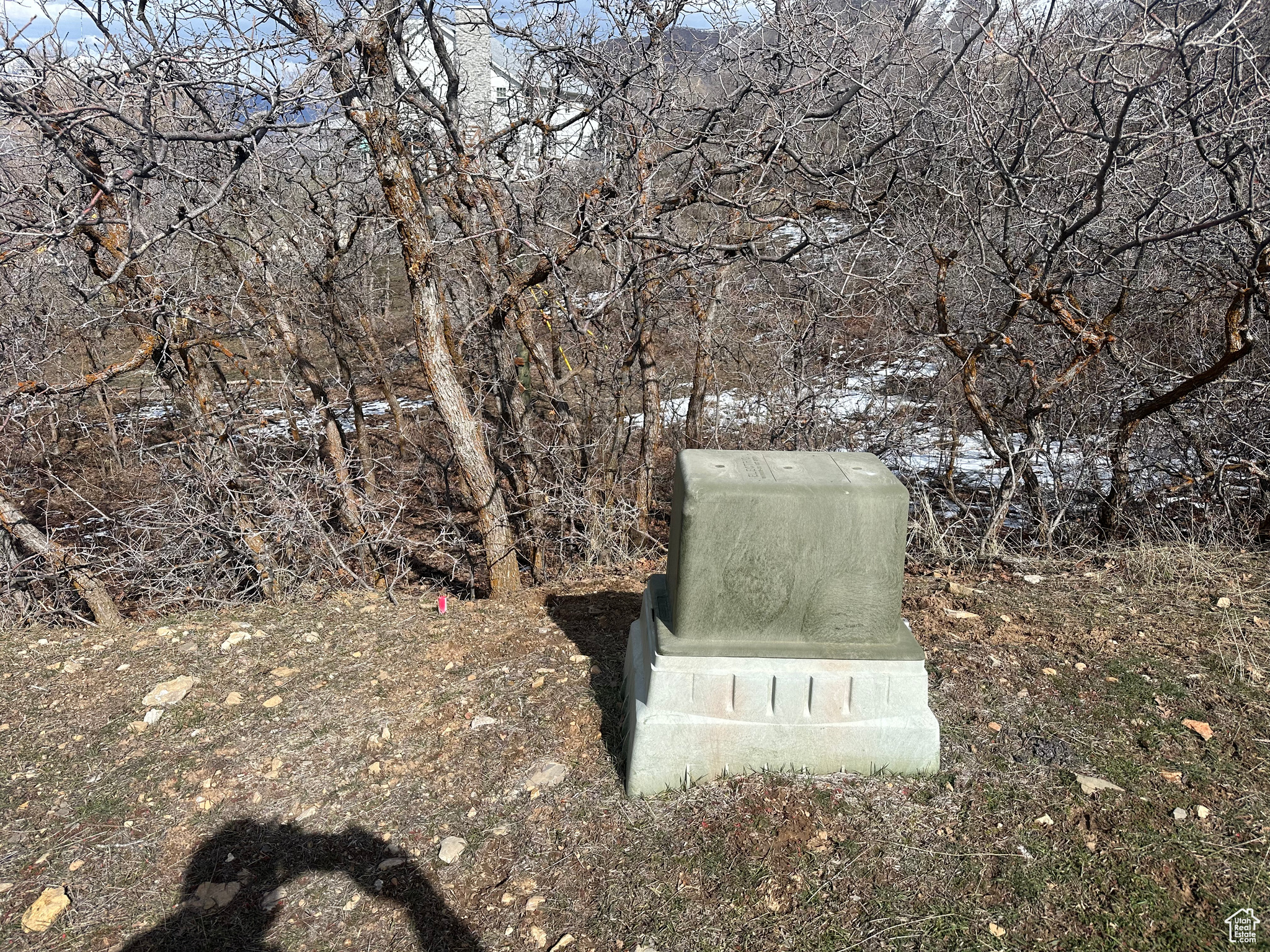 Utility Box on property