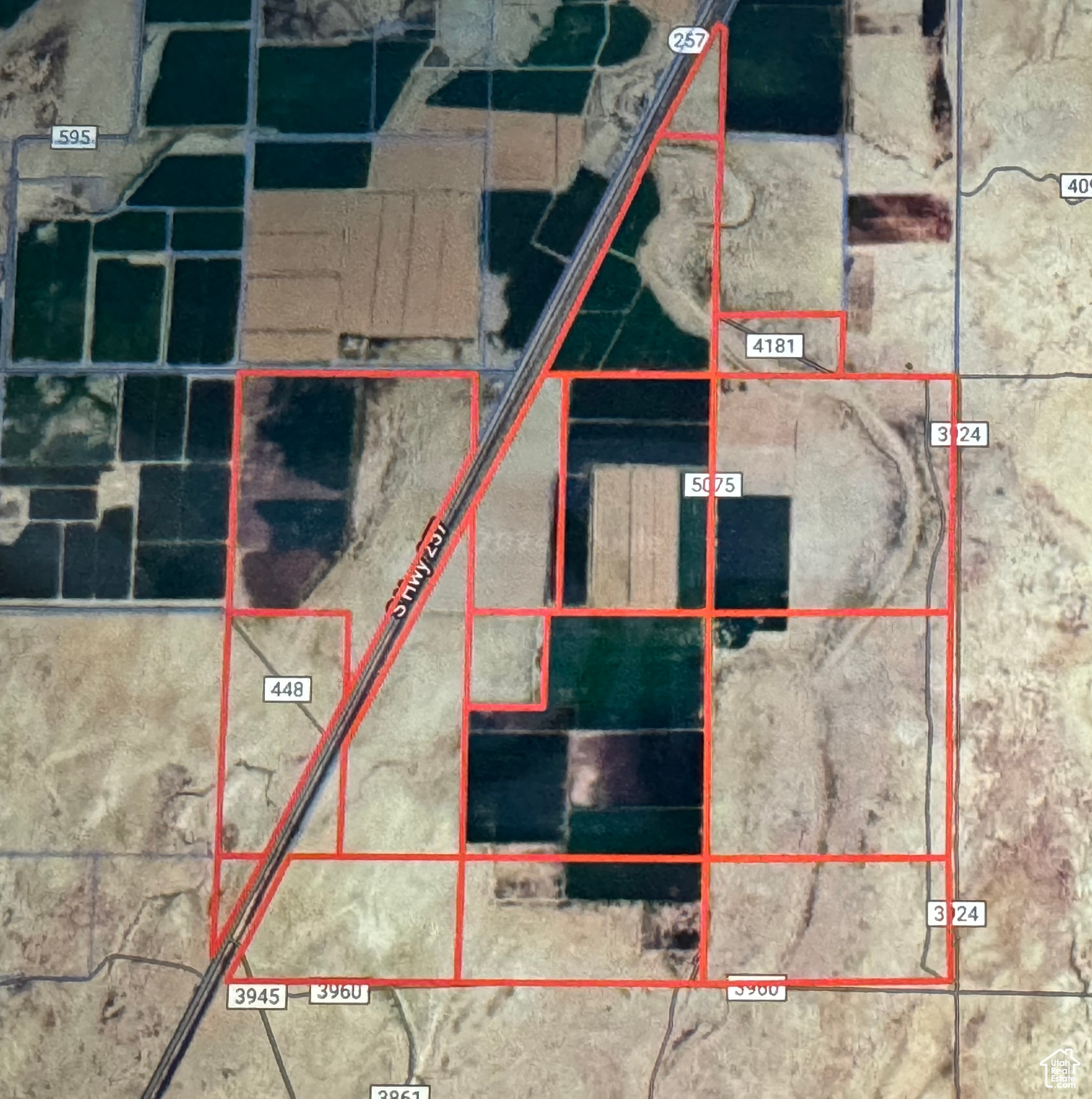 8000 S HWY 257, Deseret, Utah 84624, ,Farm,For sale,HWY 257,1988234