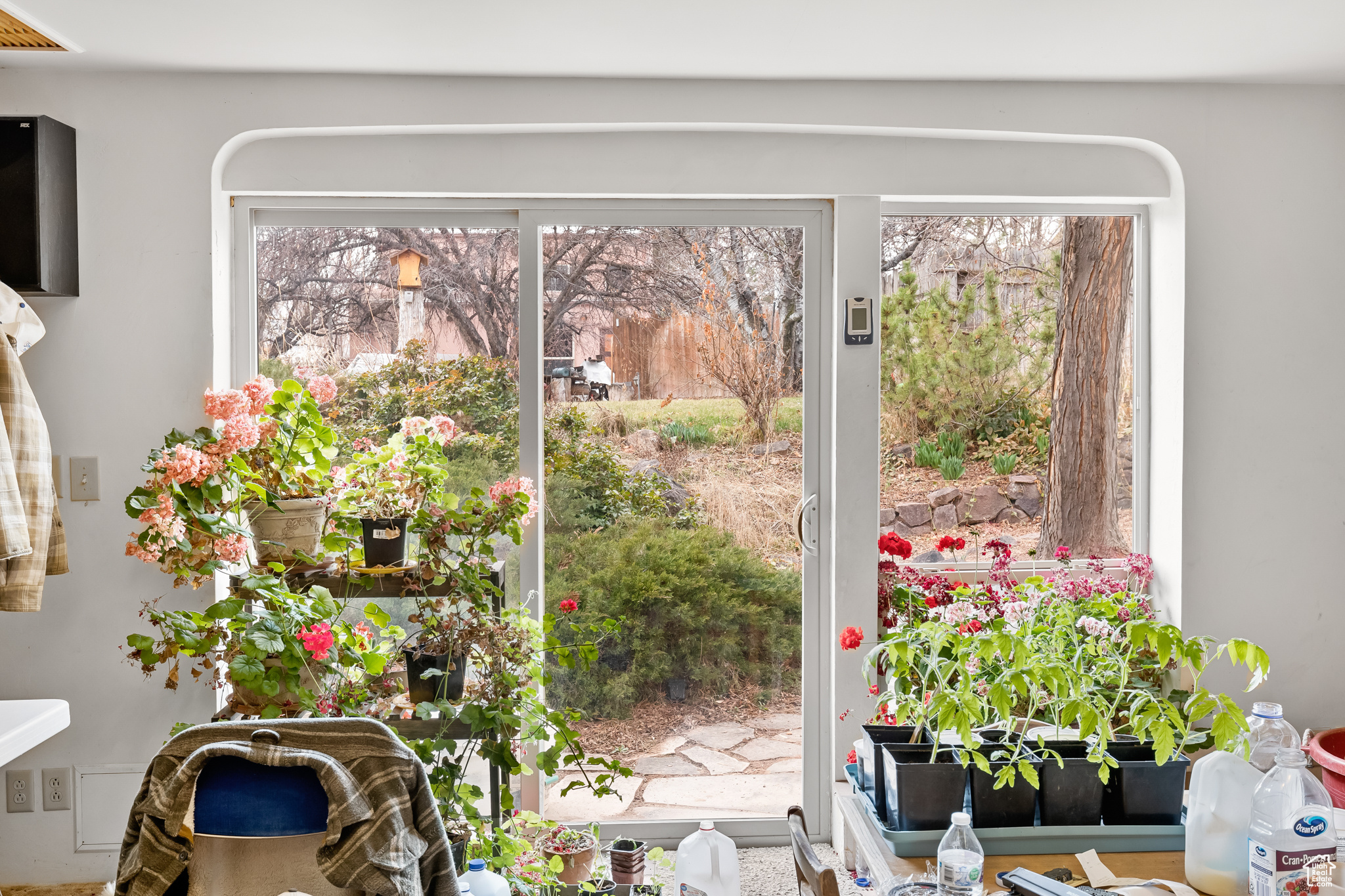 Doorway to outside with a wealth of natural light