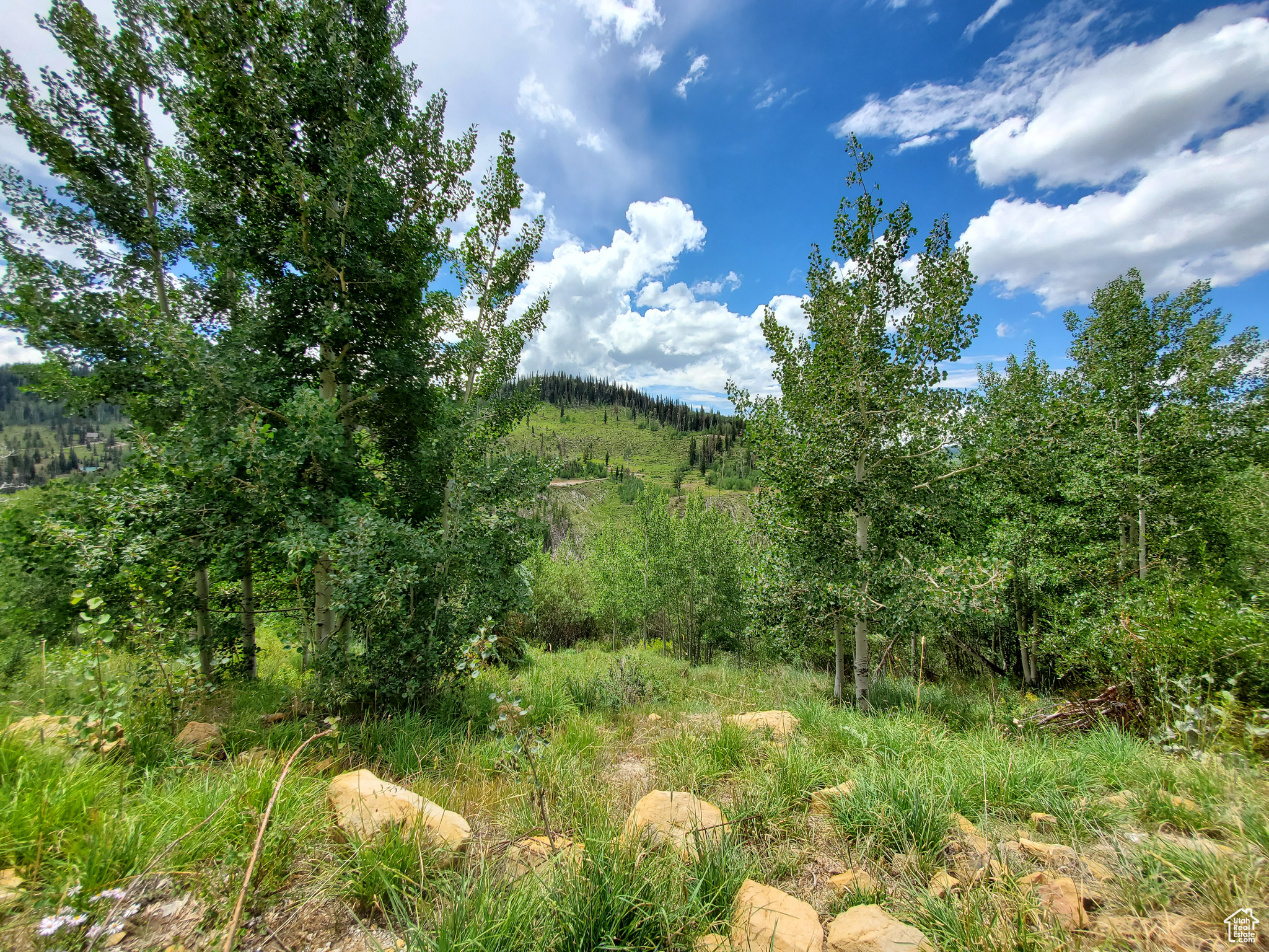 103 BROOKS CANYON #G103, Fairview, Utah 84629, ,Land,For sale,BROOKS CANYON,1988255