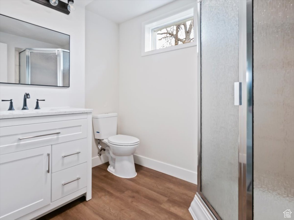 Bathroom featuring walk in shower, wood-type flooring, toilet, and large vanity