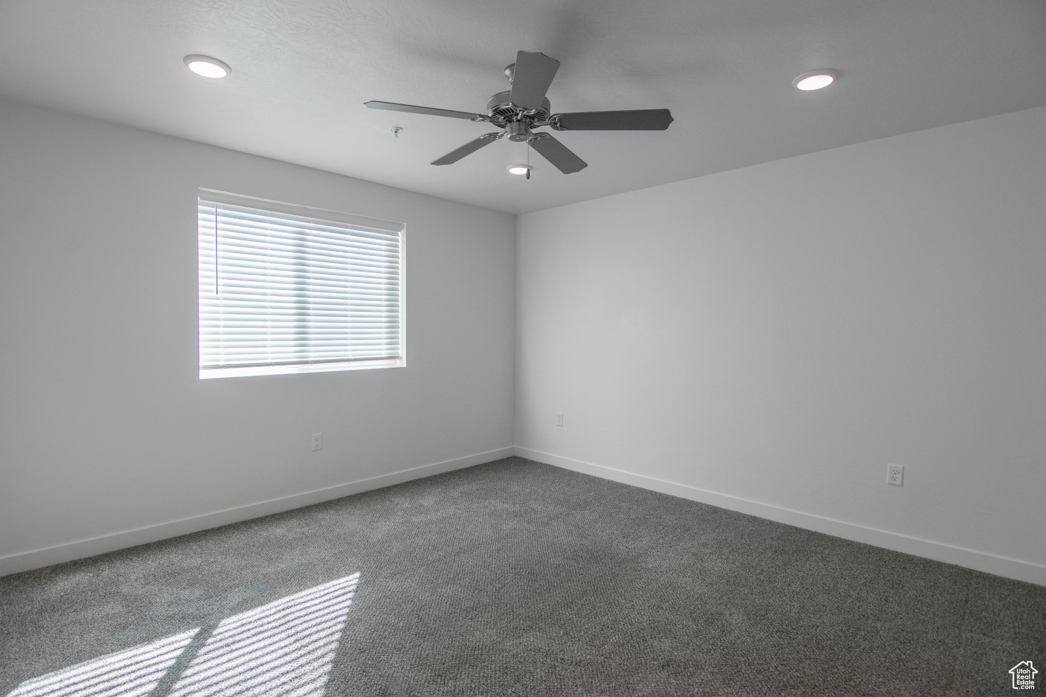 Primary bedroom featuring carpet flooring and ceiling fan