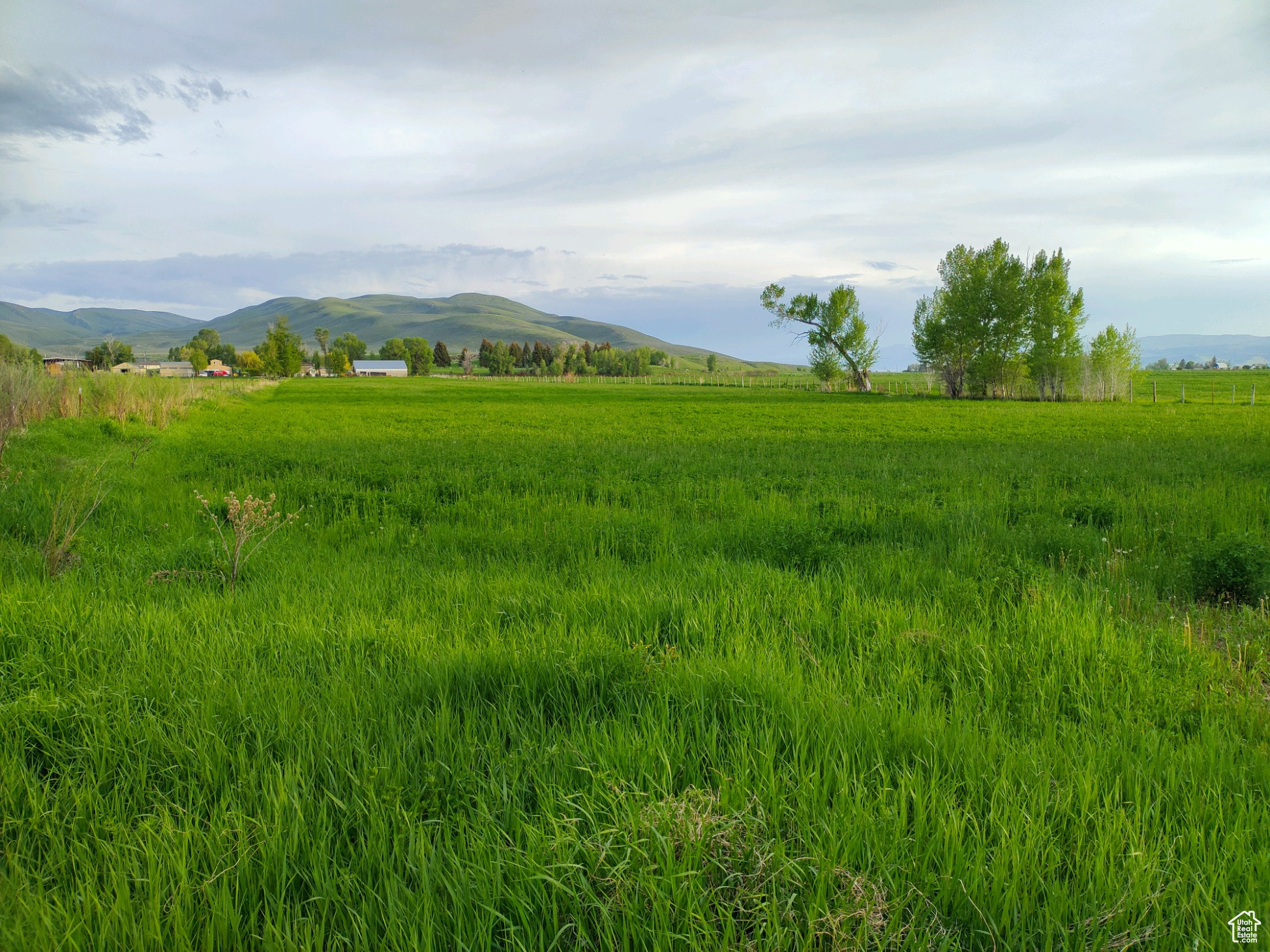 302 4TH S, Dingle, Idaho 83233, ,Land,For sale,4TH,1989385