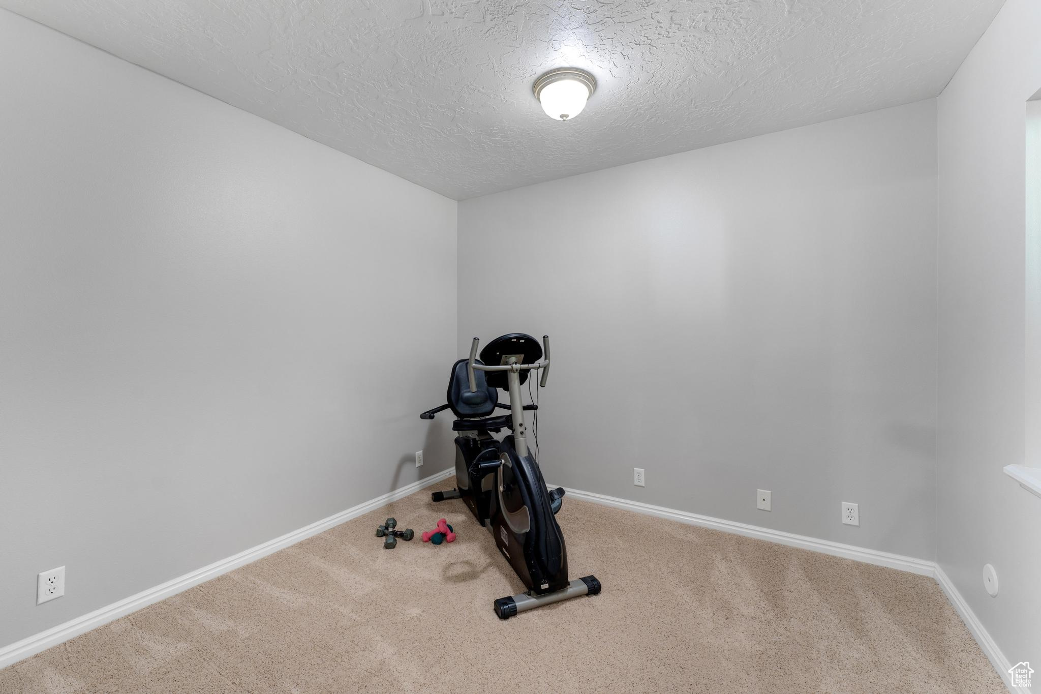 Den or exercise room