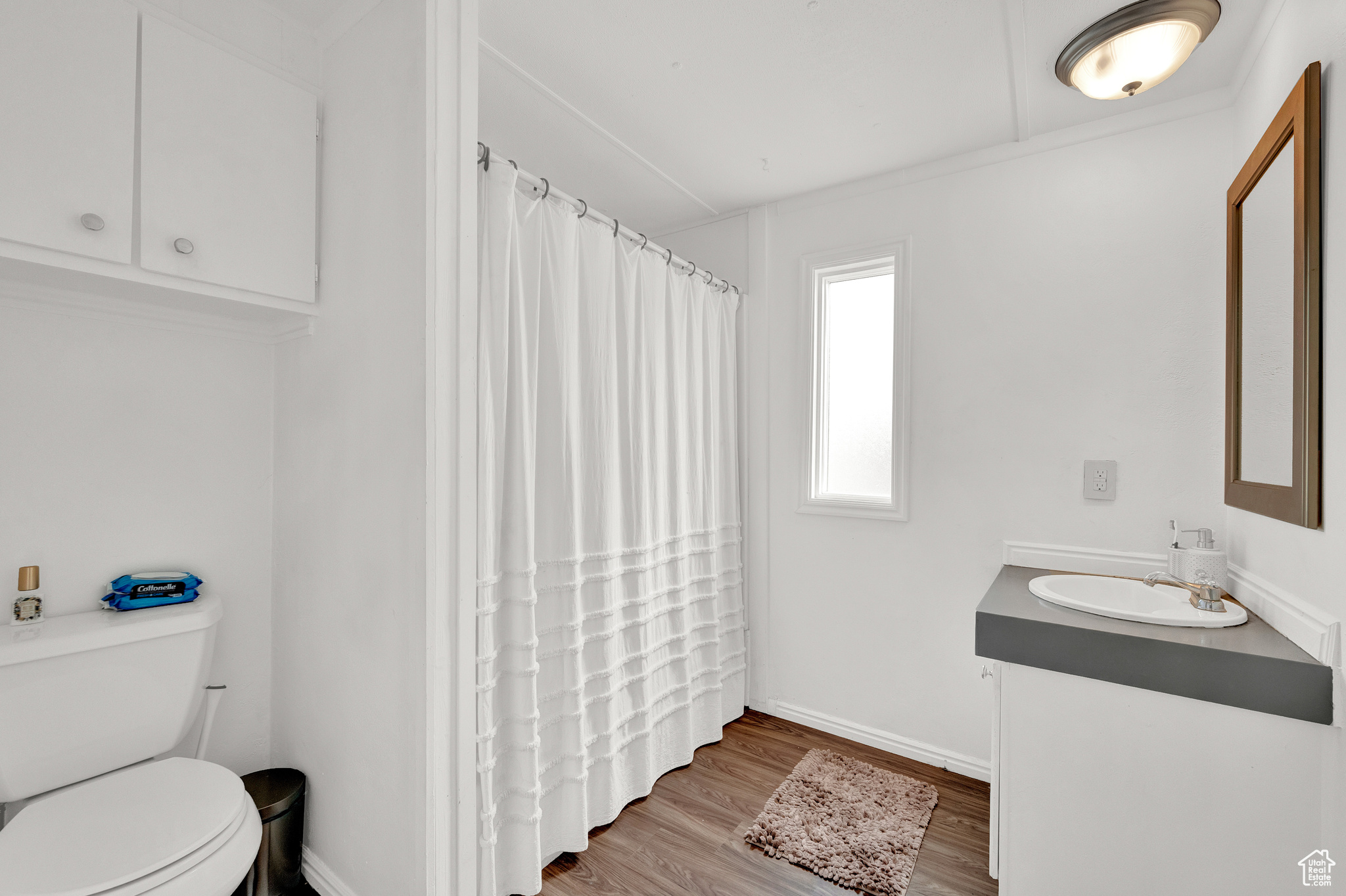 Bathroom with wood-type flooring, toilet, and vanity