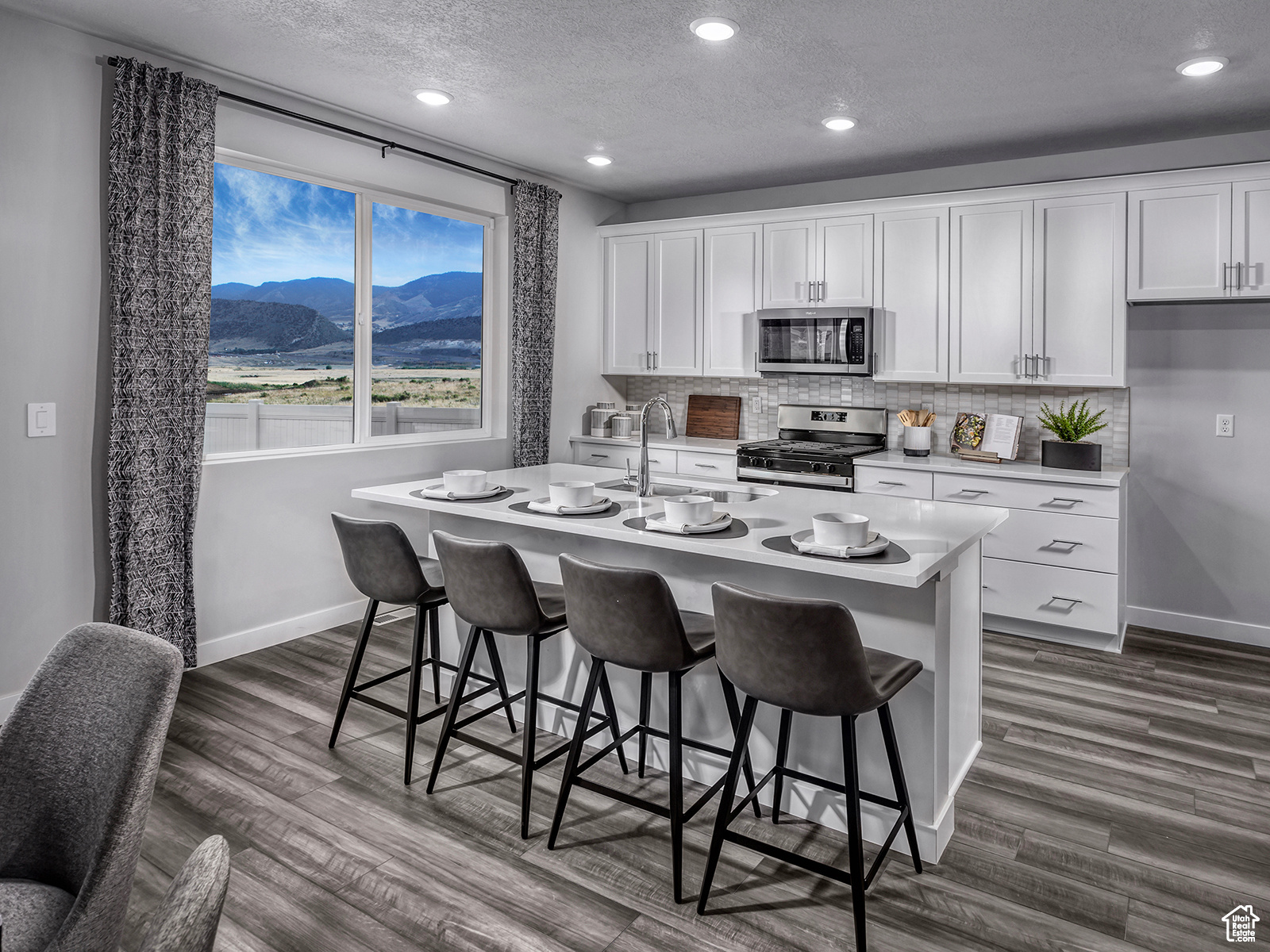 Kitchen with appliances with stainless steel finishes, a mountain view, a kitchen island with sink, dark hardwood / wood-style floors, and white cabinets