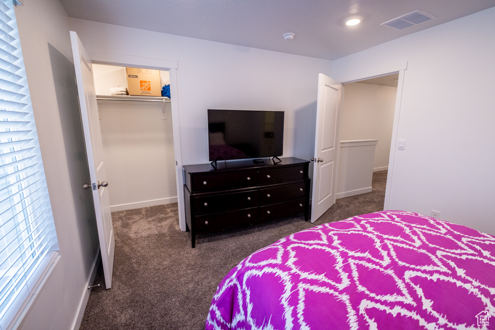 Carpeted bedroom with a closet and multiple windows