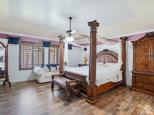 Bedroom with ceiling fan, a raised ceiling, and dark wood-type flooring