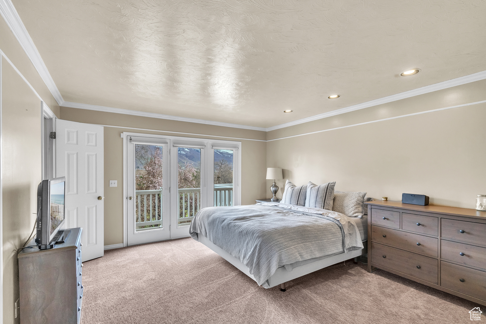 Bedroom featuring ornamental molding, light colored carpet, and access to exterior