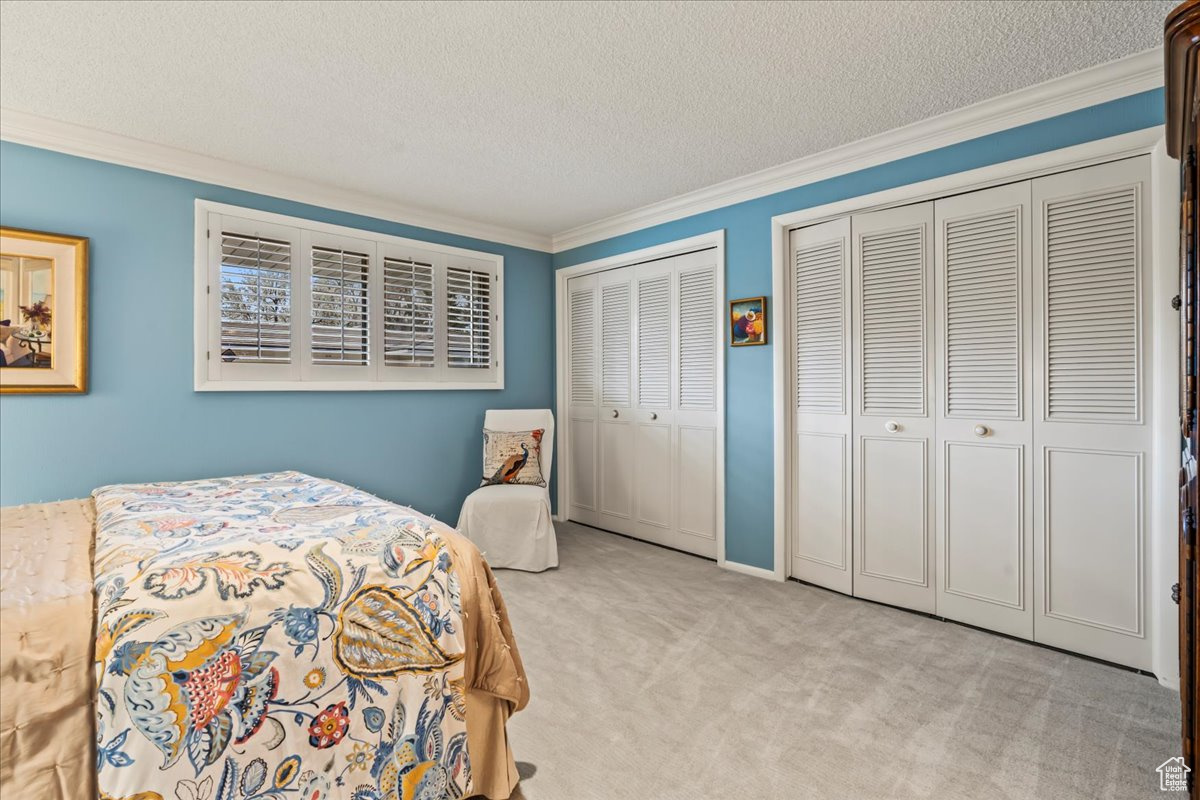 Master Bedroom with 2 closets