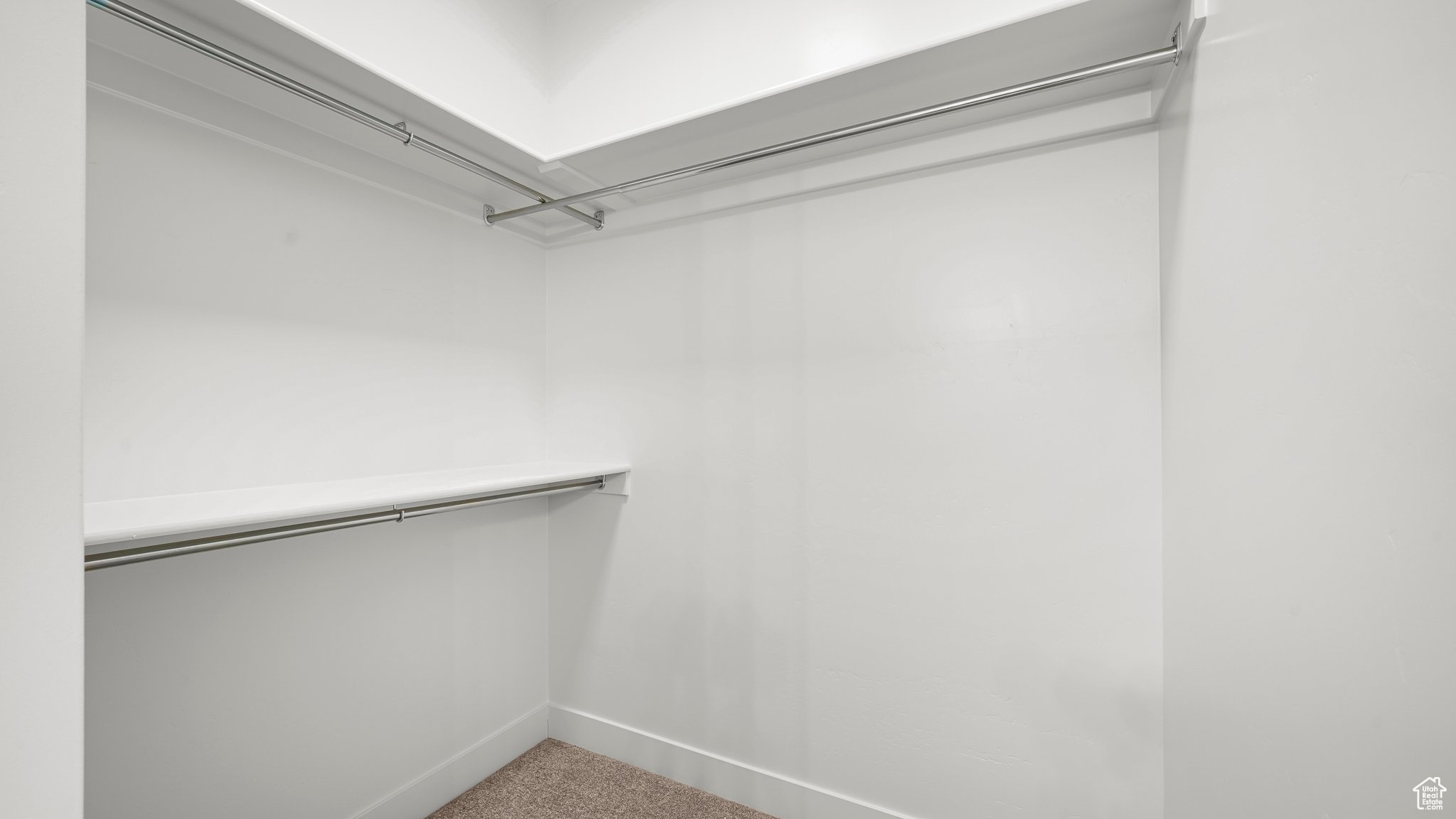 Walk in closet featuring carpet floors