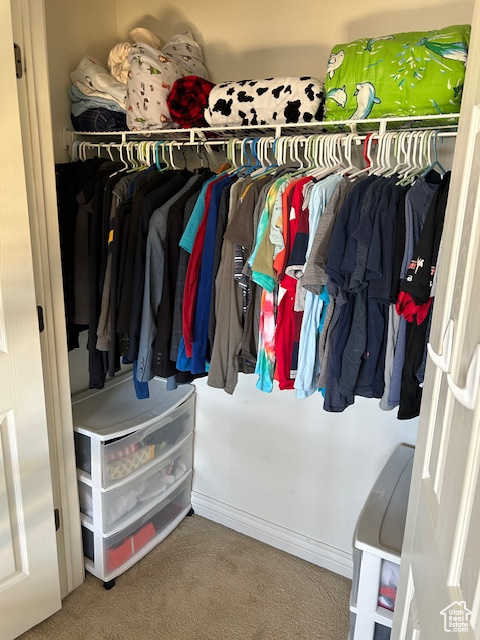 Spacious closet featuring light colored carpet