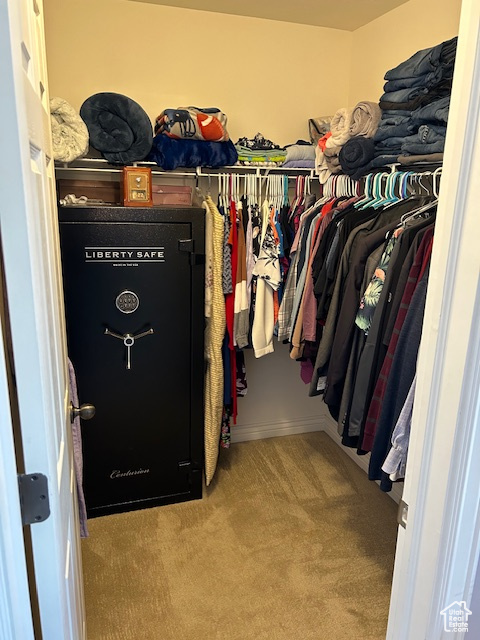 Spacious closet featuring light carpet