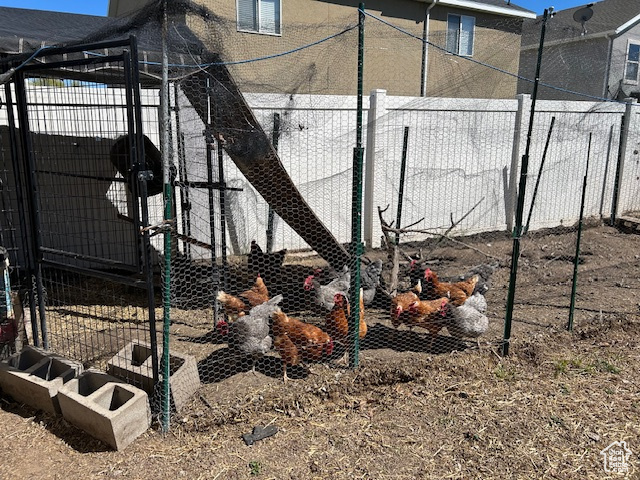 Chicken coup