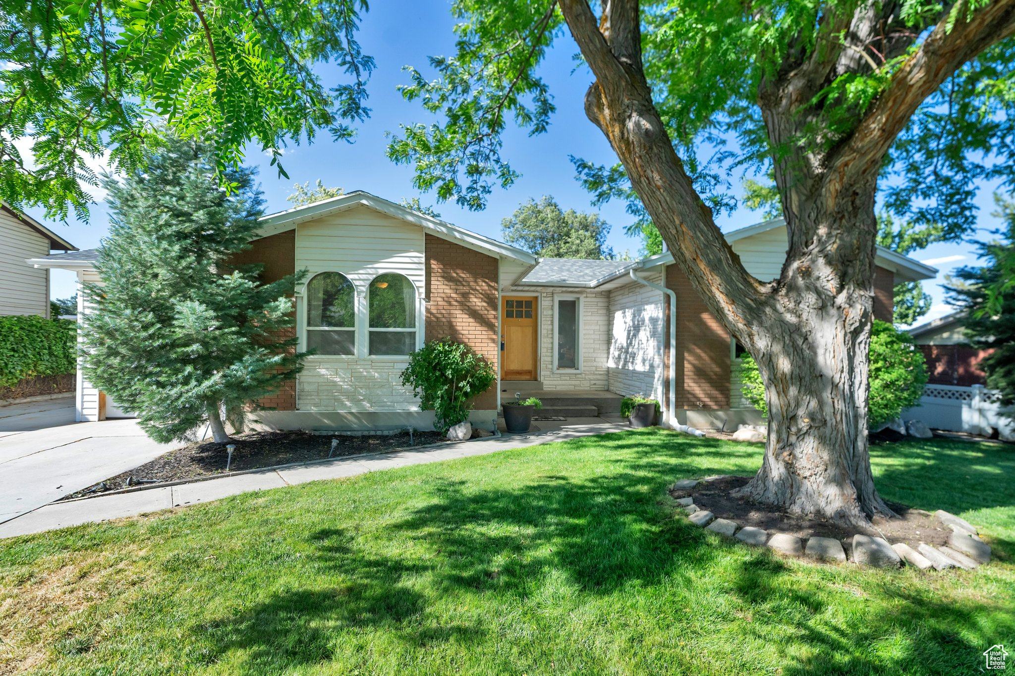 Ranch-style home with a front yard