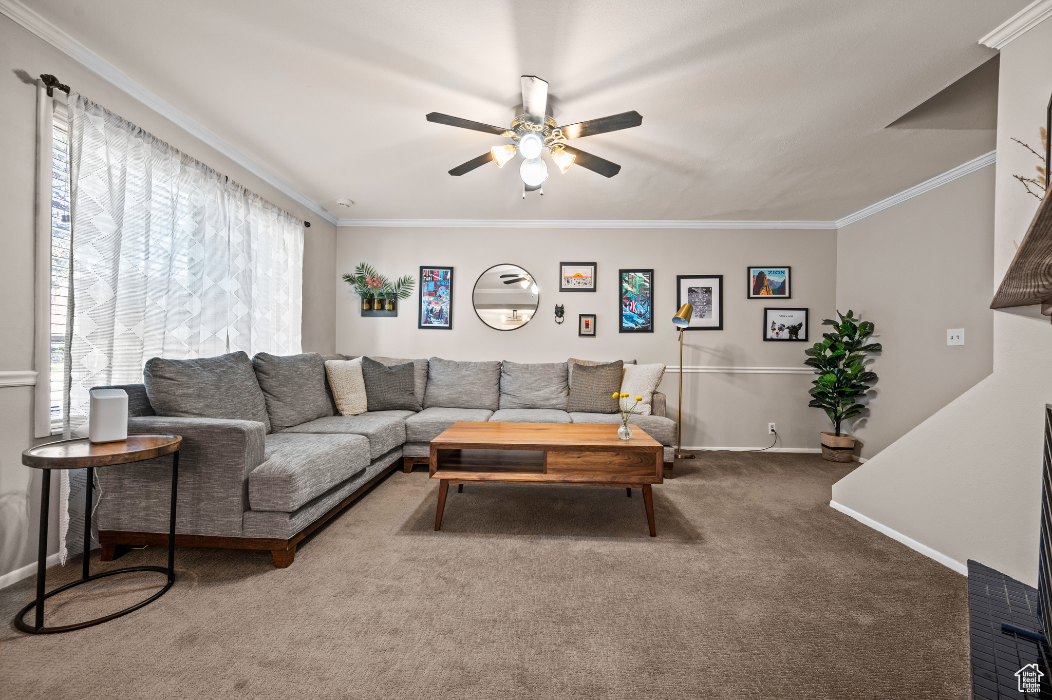Carpeted living room featuring ceiling fan and crown molding