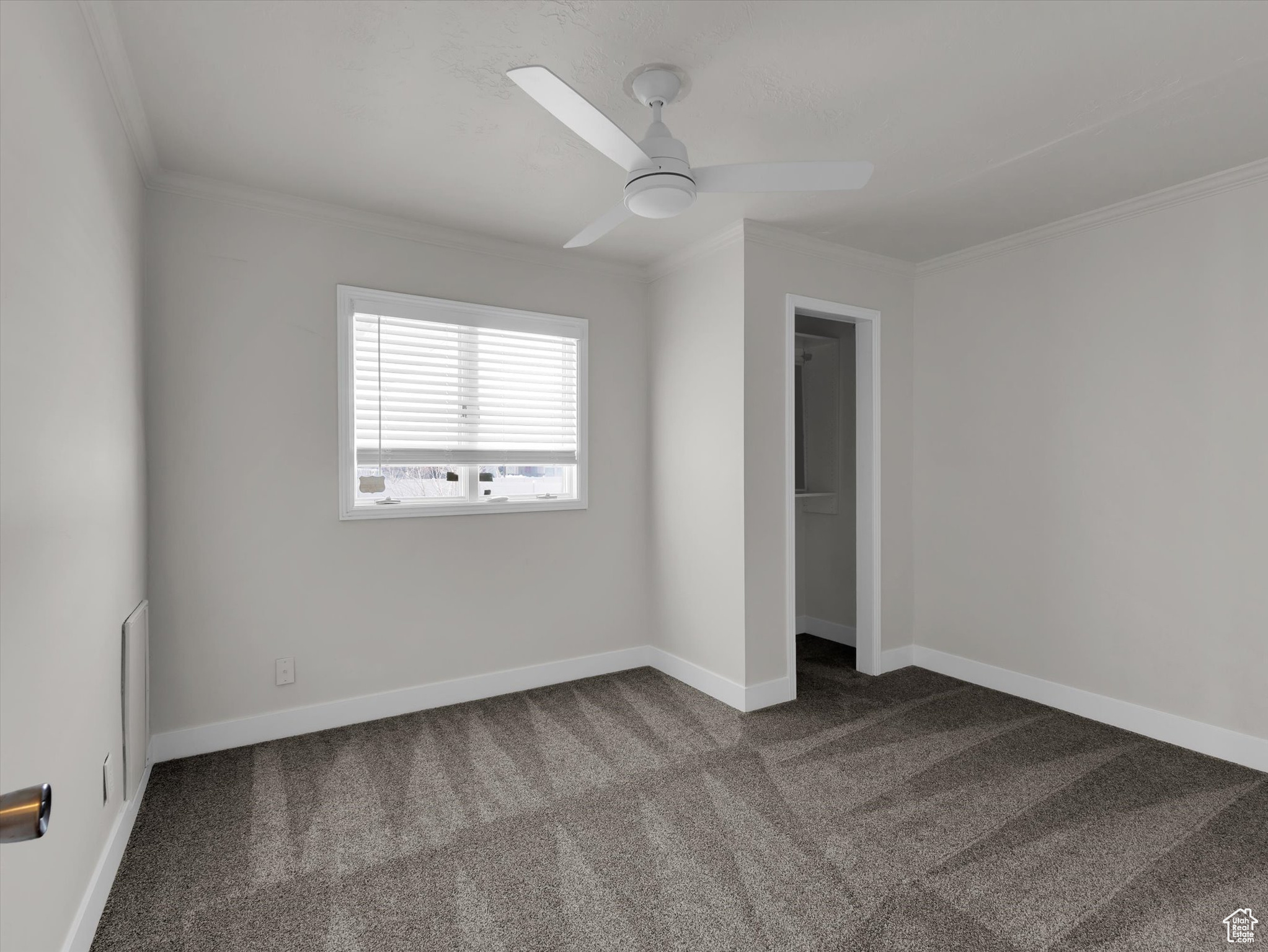 Unfurnished bedroom featuring ornamental molding, a closet, ceiling fan, and dark colored carpet