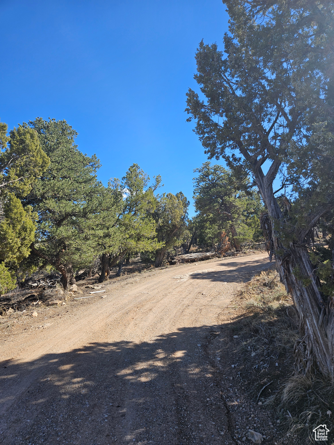 Entrance Road into Rim Rock Ranches