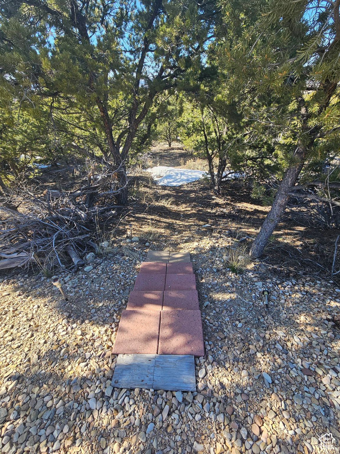 Pathway to outbuilding