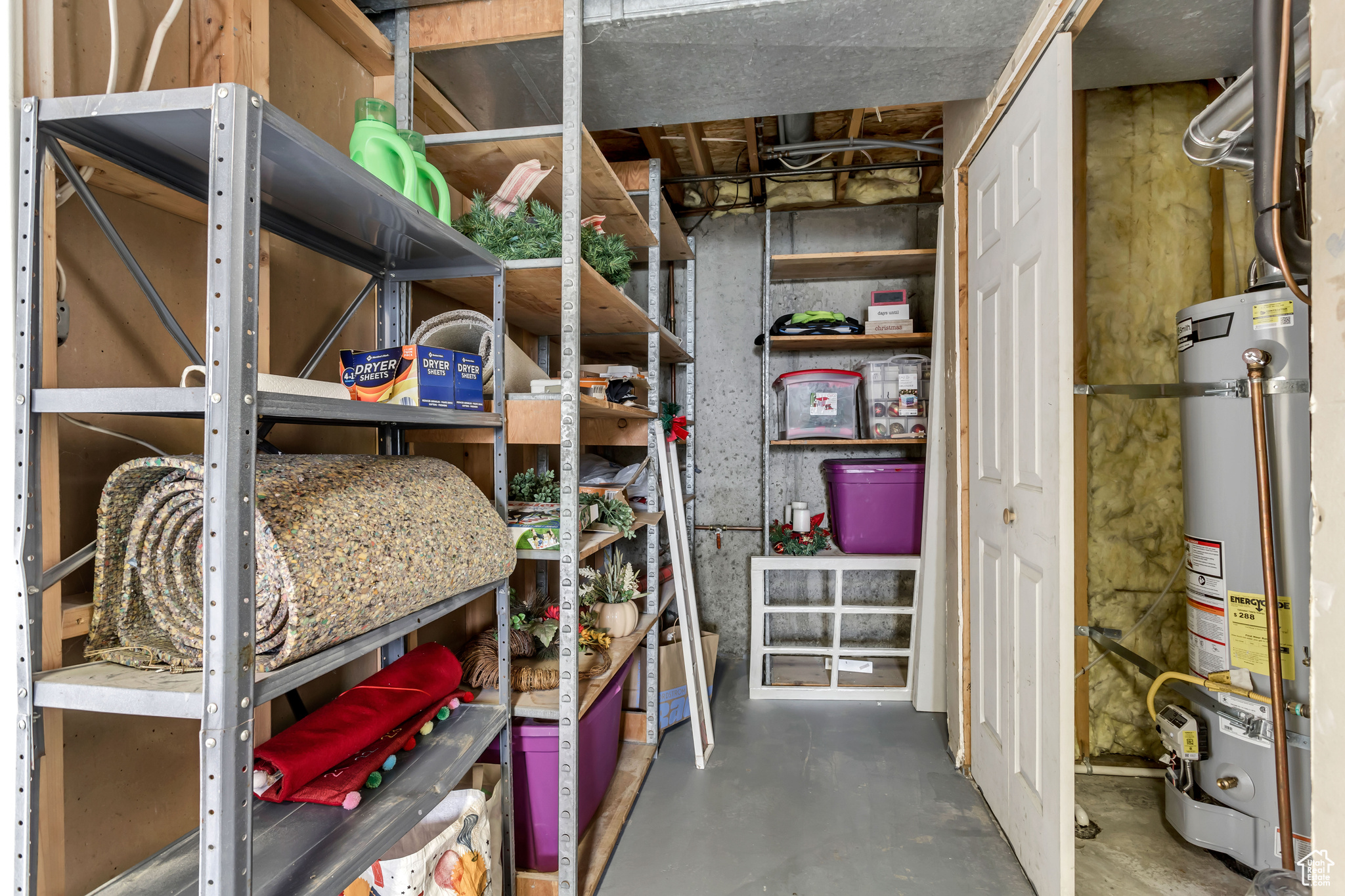 Storage room featuring gas water heater