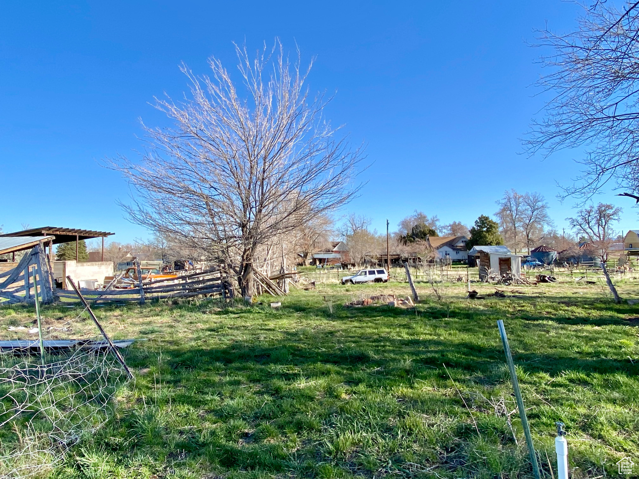 View of yard with a shed