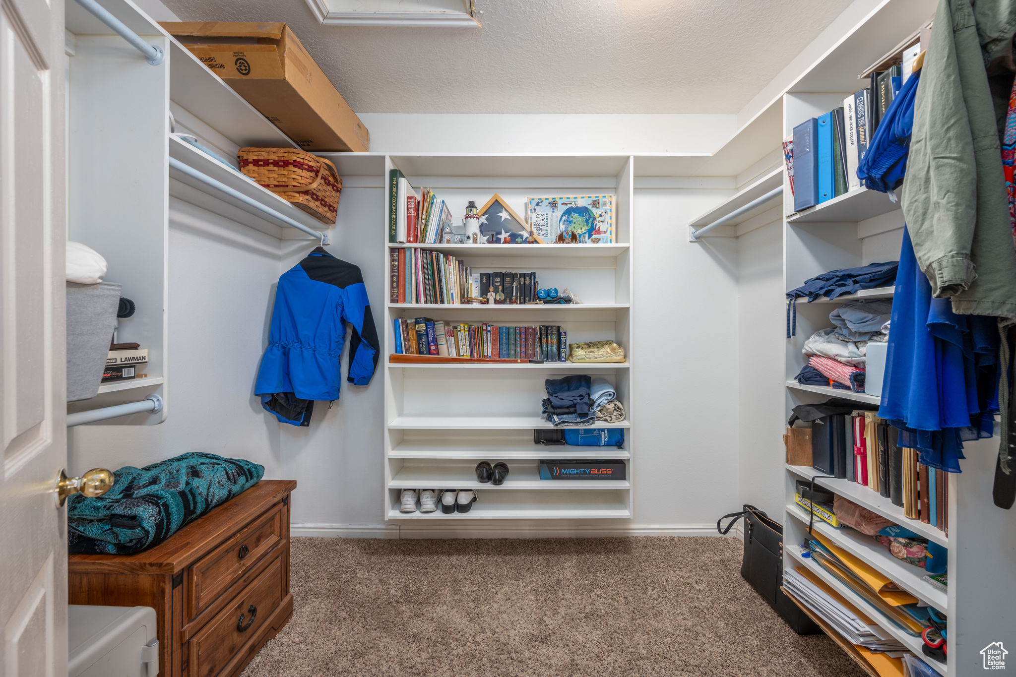 Spacious closet featuring dark colored carpet