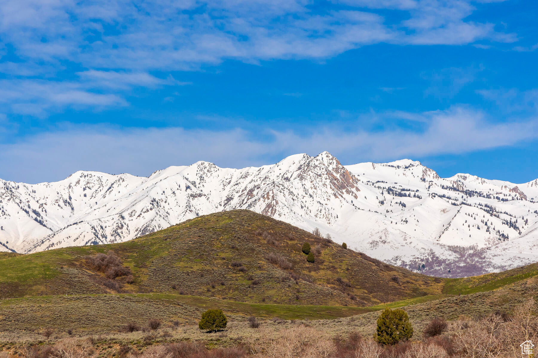 6773 N LAKESIDE #145, Morgan, Utah 84050, ,Land,For sale,LAKESIDE,1992561