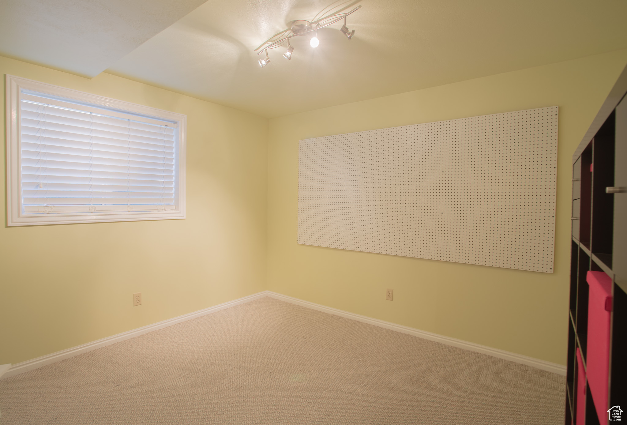 Empty room featuring rail lighting and carpet floors