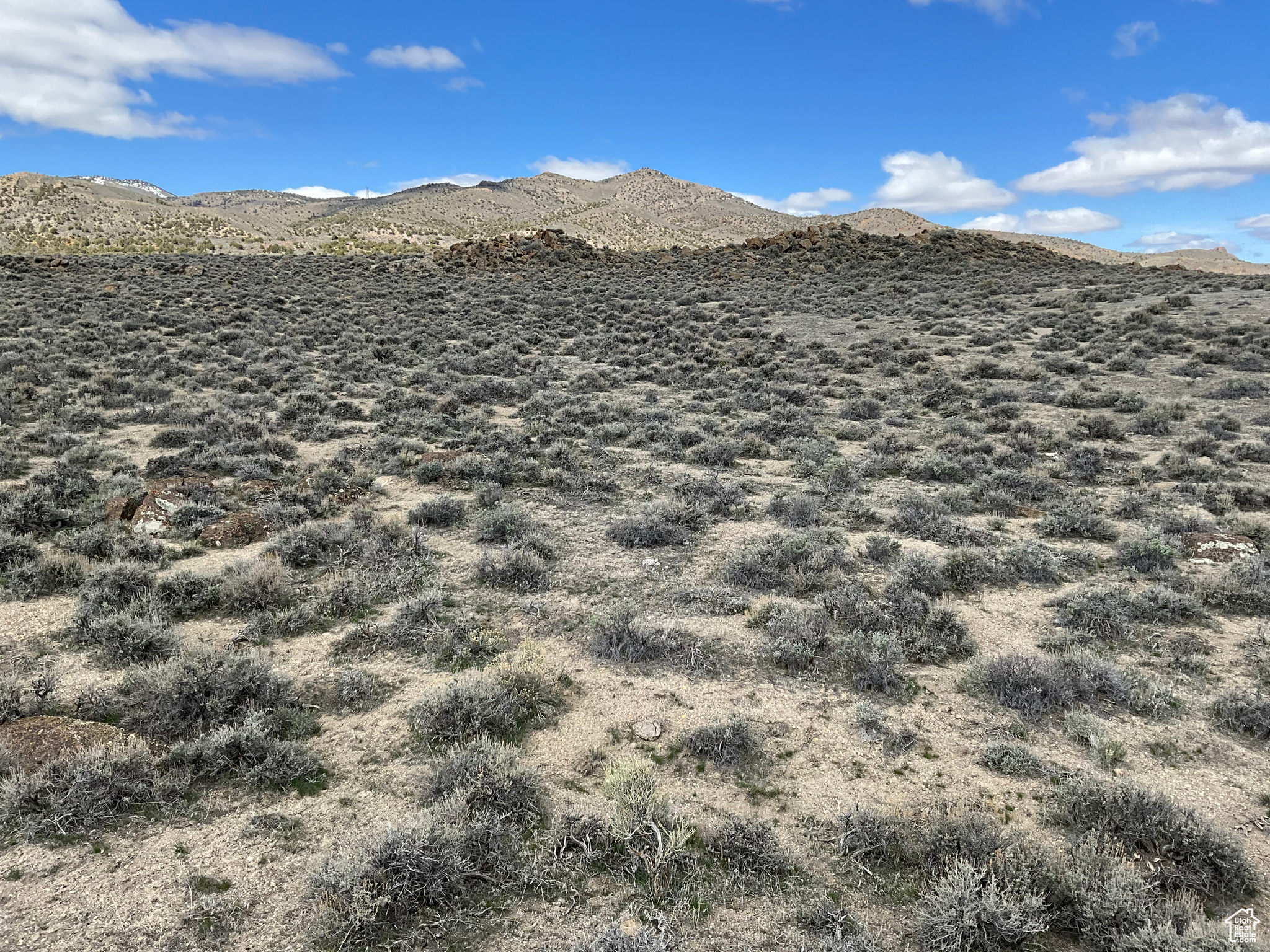 Grouse Creek, Utah 84313, ,Land,For sale,1992608