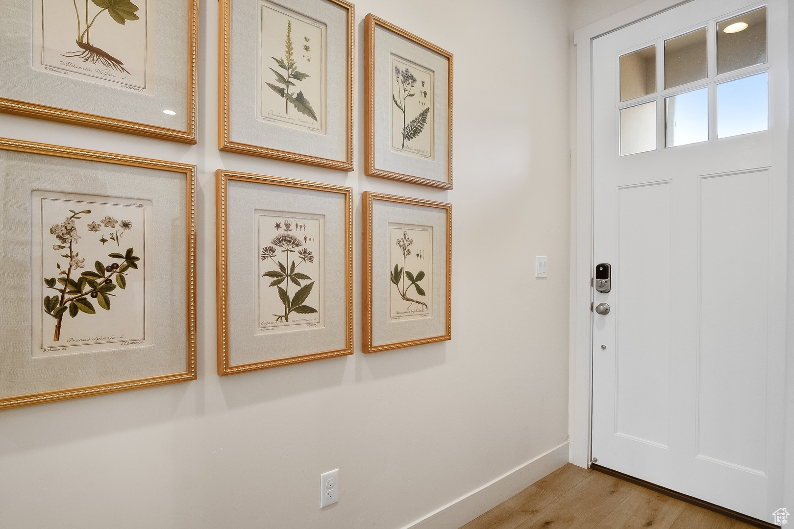 Foyer entrance featuring light wood-type flooring