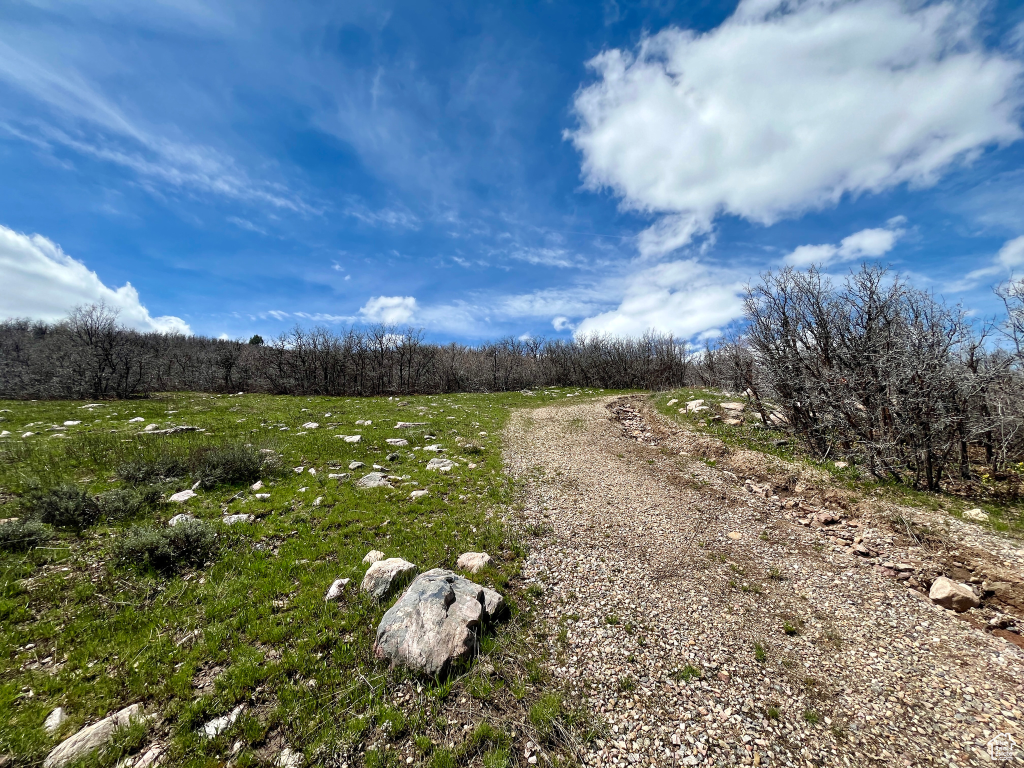 6677 N WEBER #3, Mountain Green, Utah 84050, ,Land,For sale,WEBER,1992694