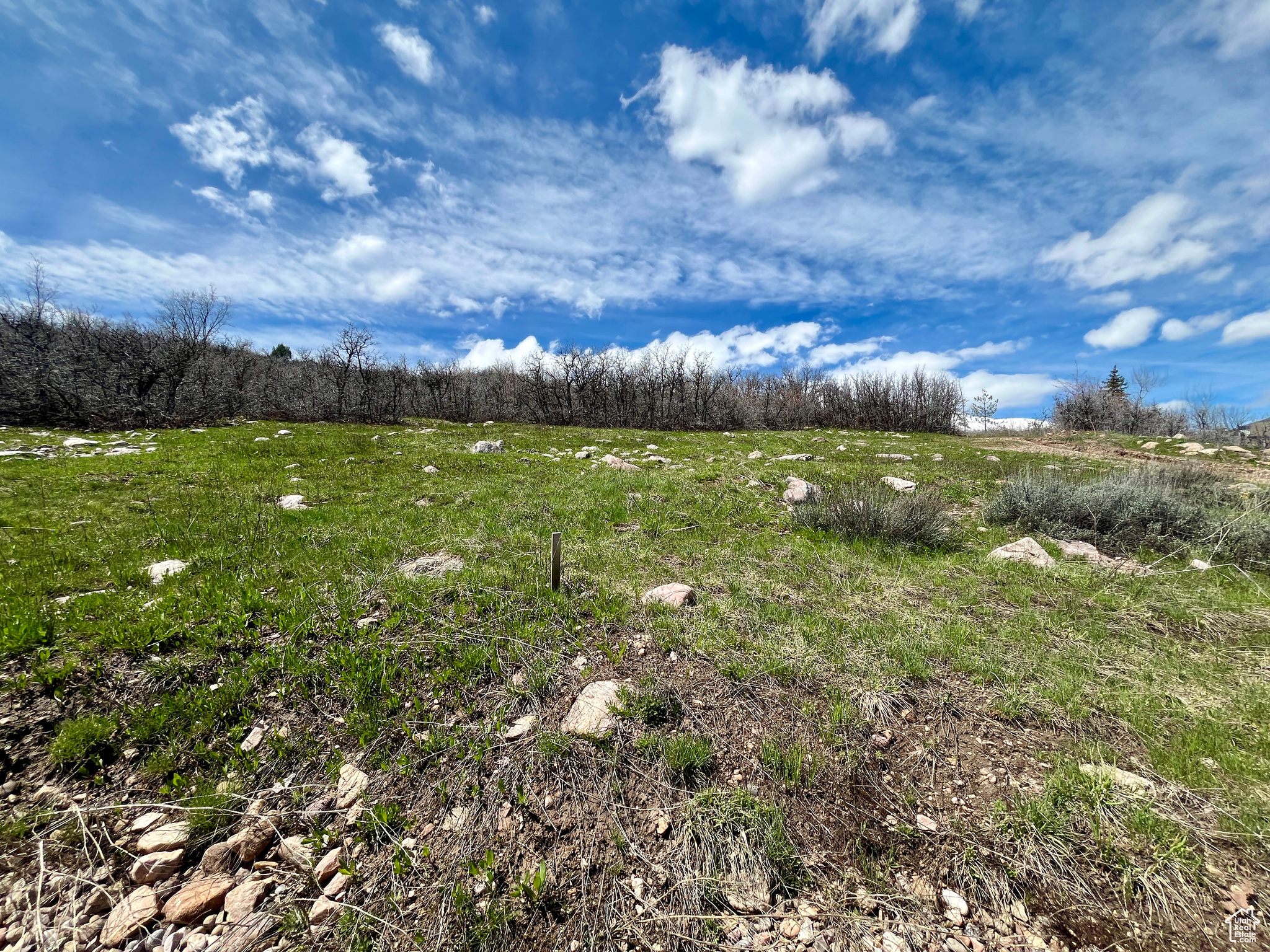 6677 N WEBER #3, Mountain Green, Utah 84050, ,Land,For sale,WEBER,1992694