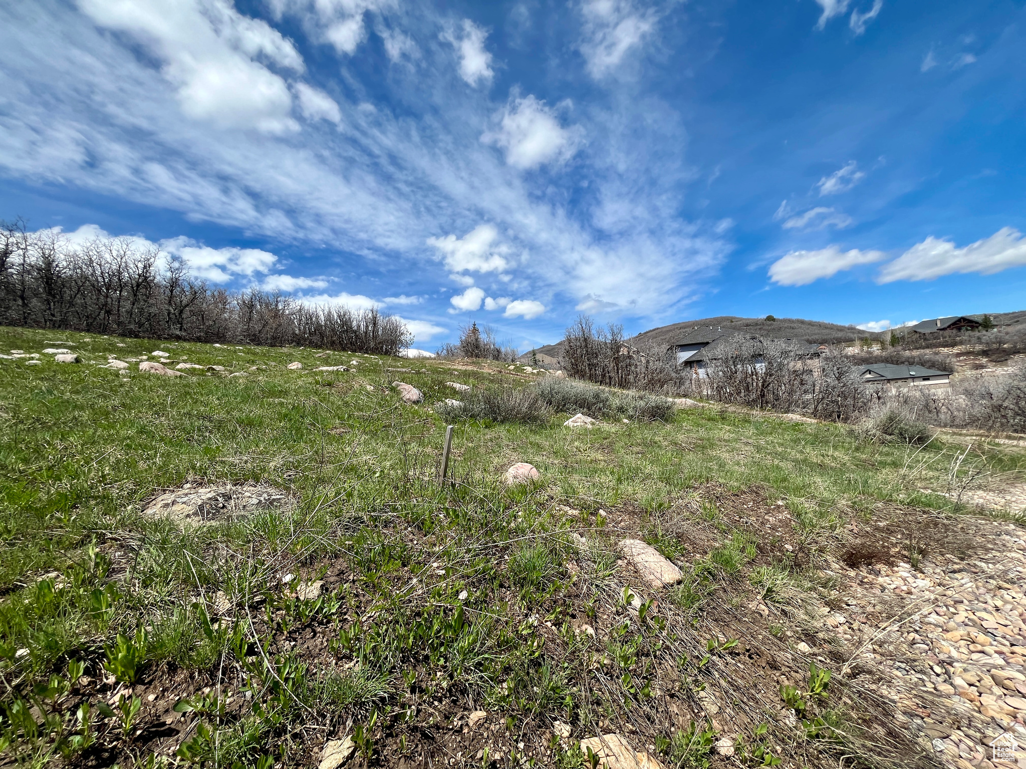 6677 N WEBER #3, Mountain Green, Utah 84050, ,Land,For sale,WEBER,1992694