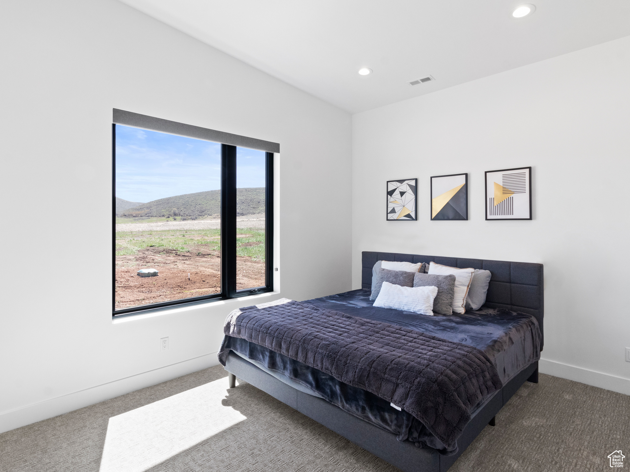 Bedroom with dark carpet