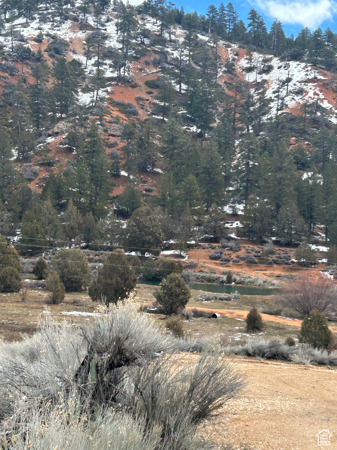 View of Small Pond