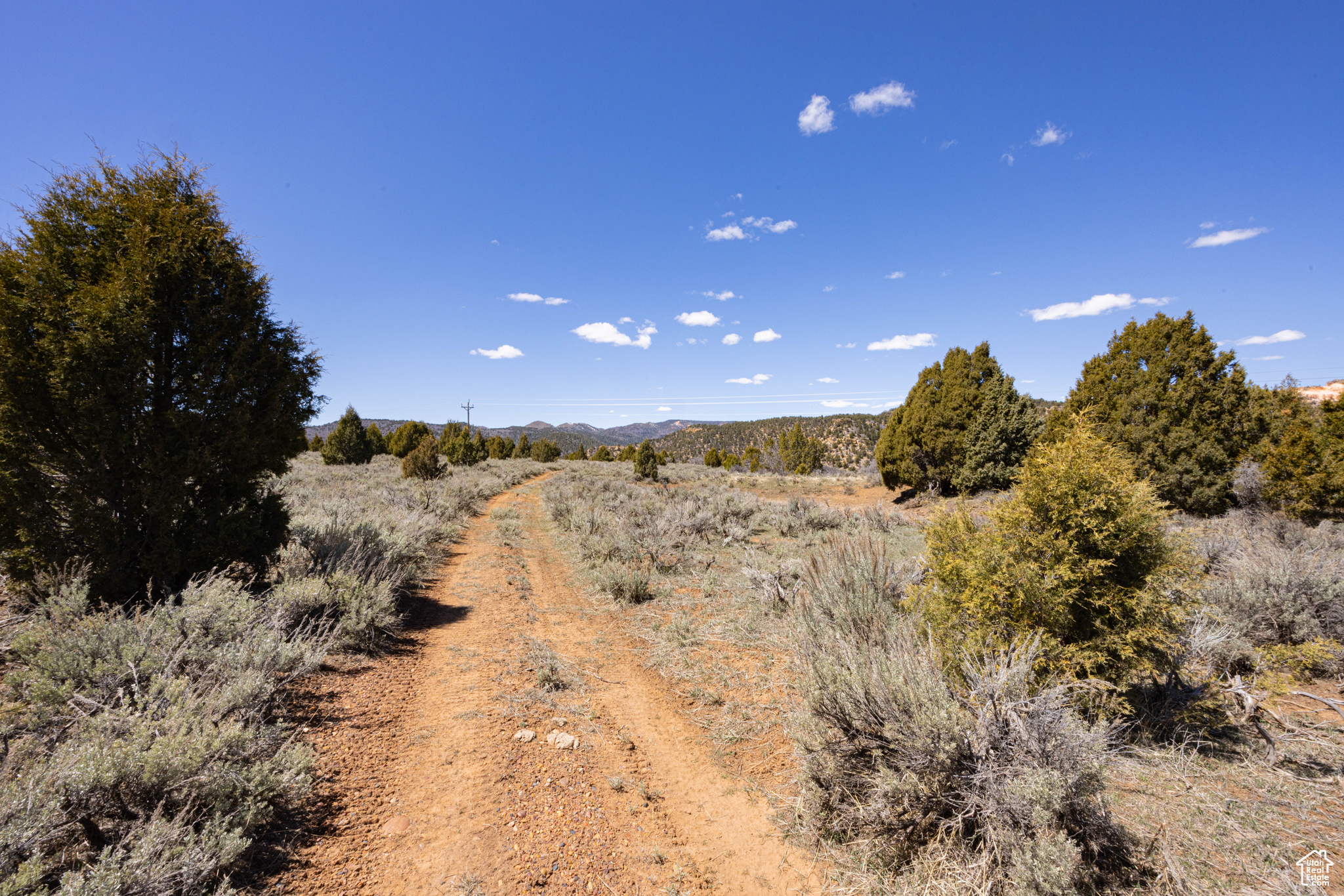 View of local wilderness with a rural view