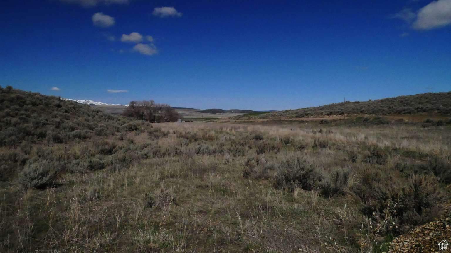 2530 BIG CANYON, Rockland, Idaho 83271, ,Land,For sale,BIG CANYON,1992924