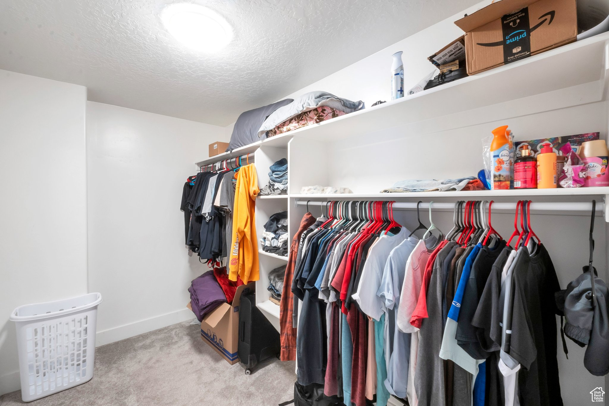 Walk in closet with light colored carpet