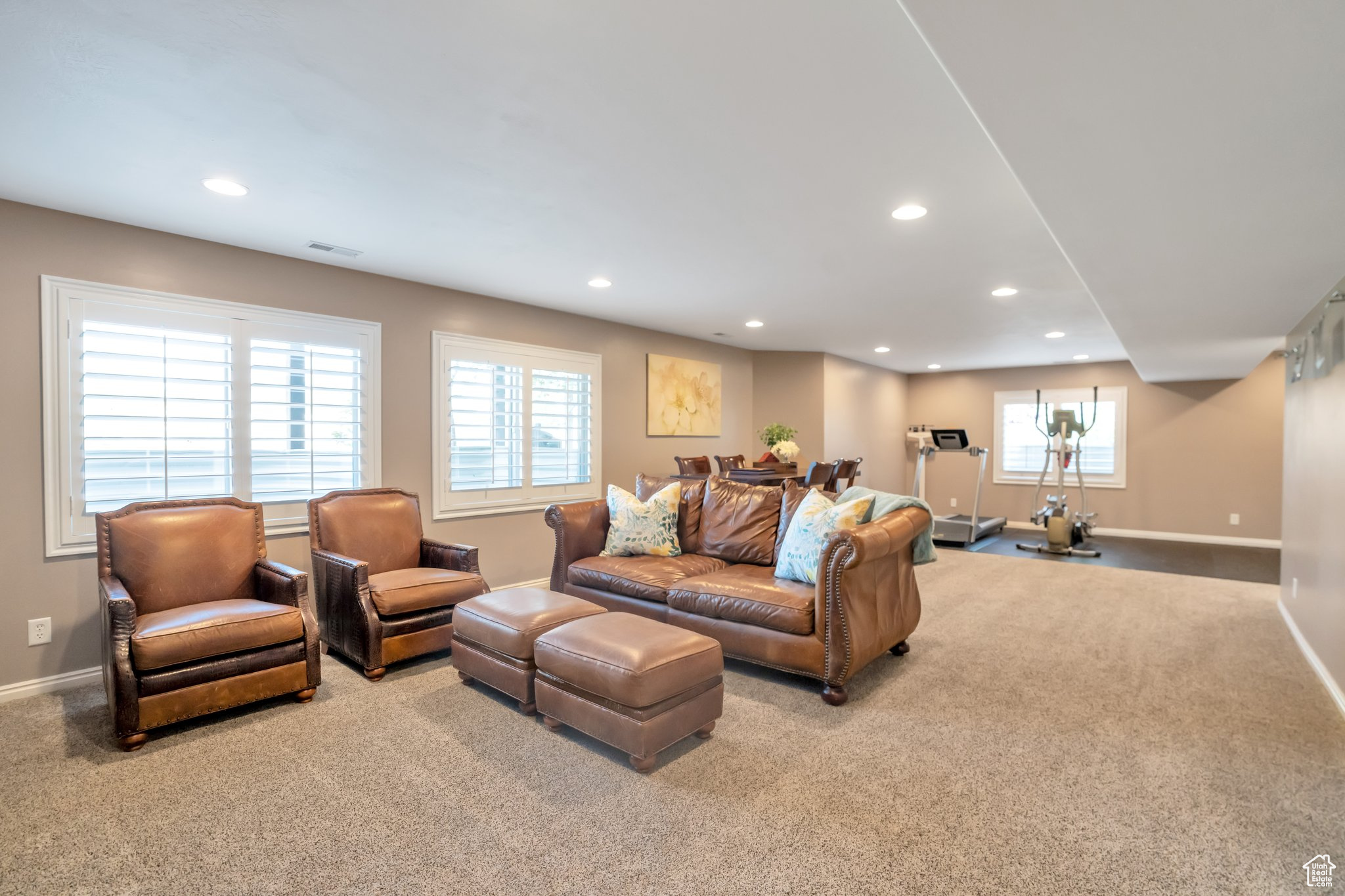 Basement Family Room and Exercise Area