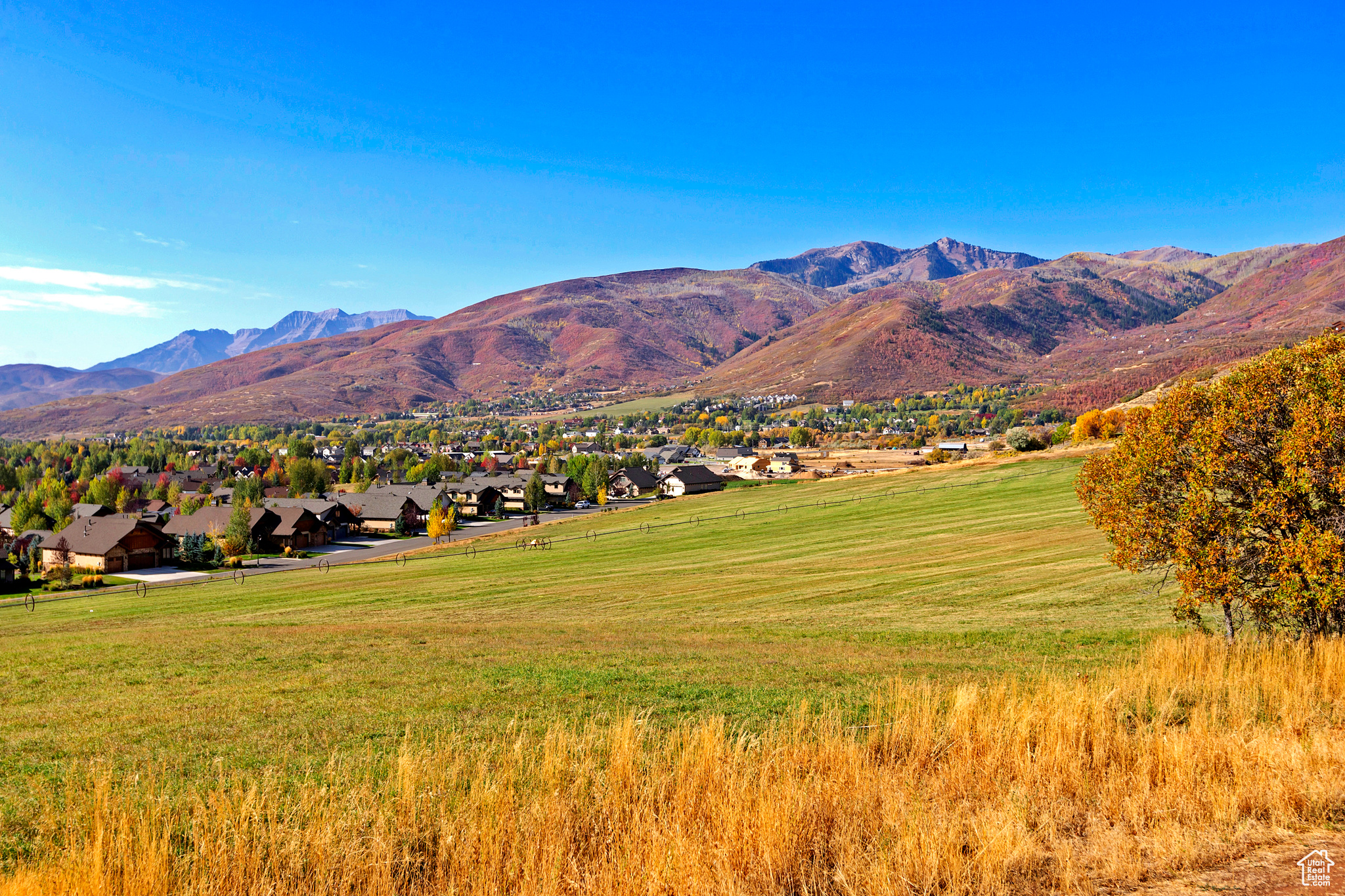 169 E ALTAMONT #39, Midway, Utah 84049, ,Land,For sale,ALTAMONT,1992968