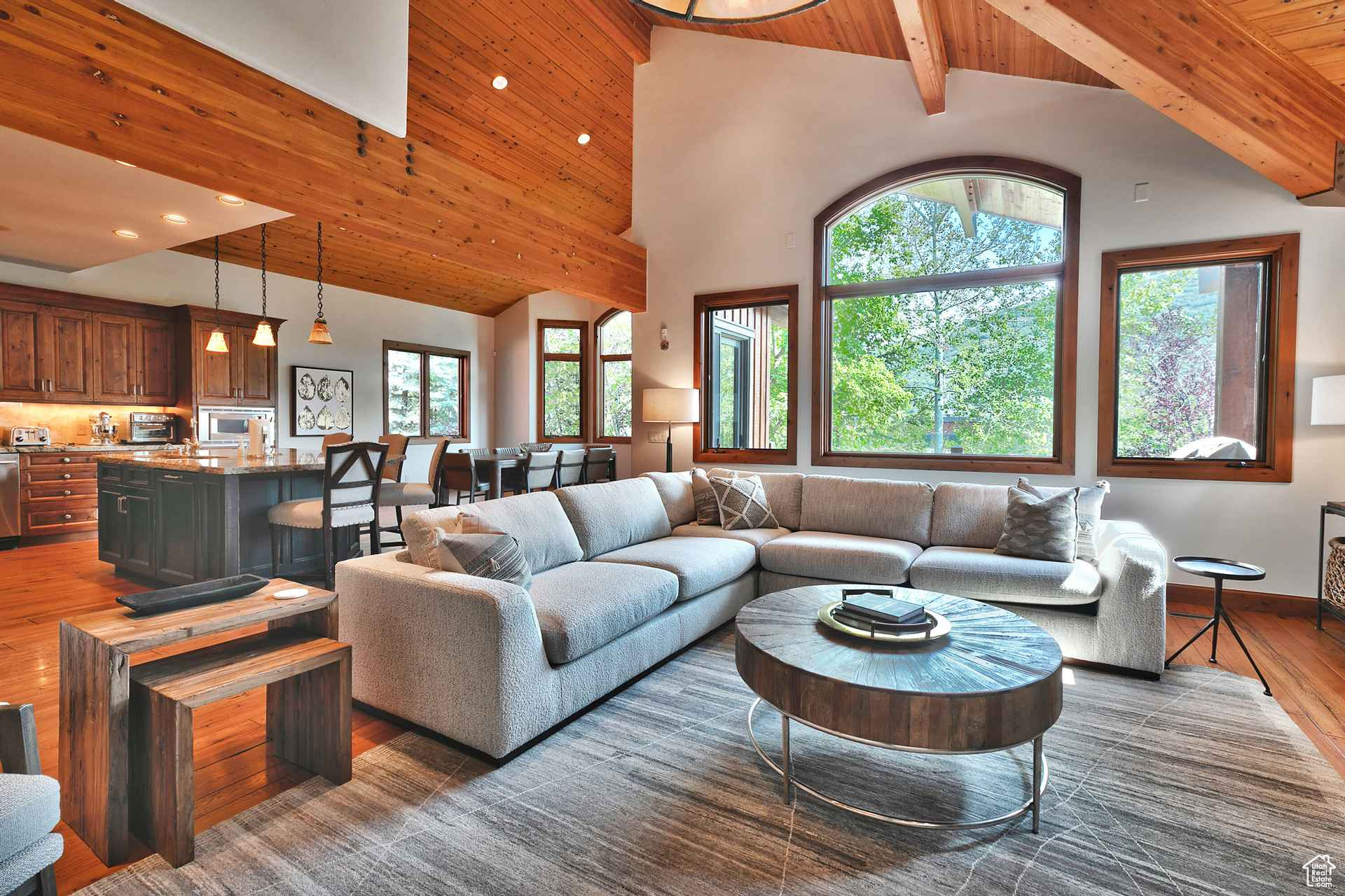 Living room featuring wood ceiling, a high ceiling, plenty of natural light, and dark wood-type flooring